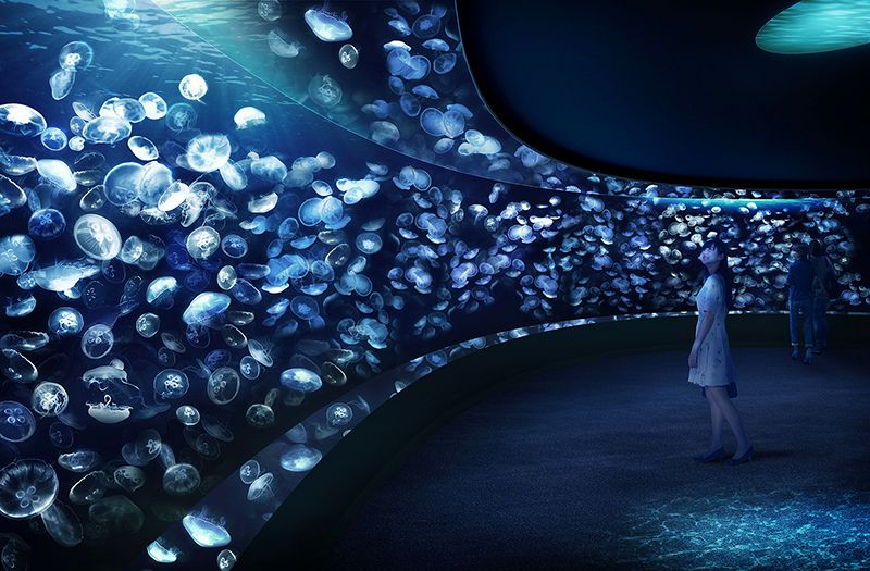 THIÊN ĐƯỜNG SỨA Ở SUNSHINE AQUARIUM