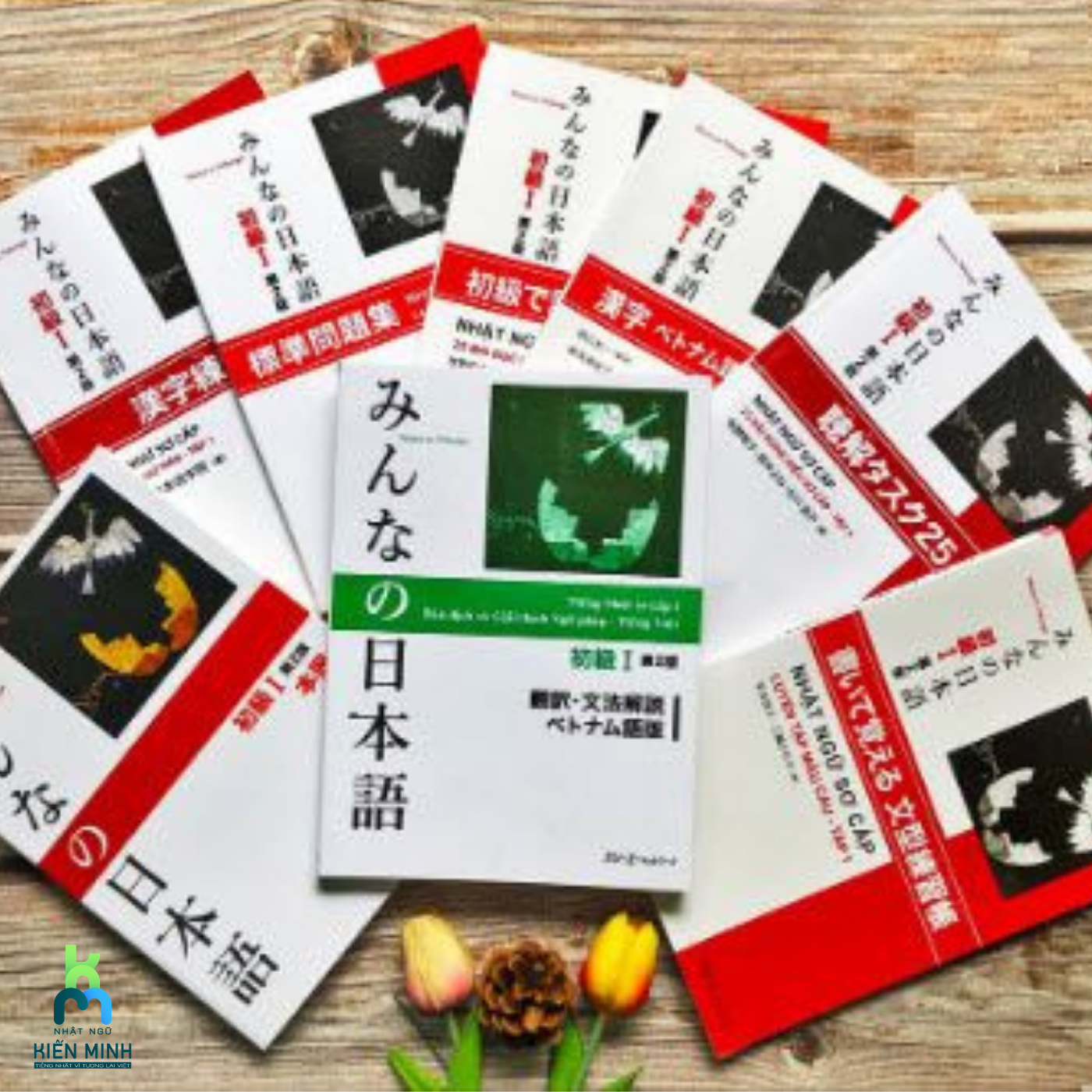 Xây dựng kiến thức nền tảng cùng 6 đầu sách học tiếng Nhật cơ bản hiện nay