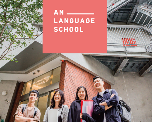 TRƯỜNG AN LANGUAGE SCHOOL