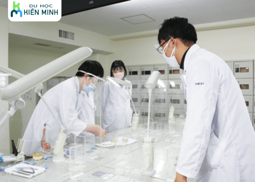 Du học ngành y dược tại Nhật có khó không? 