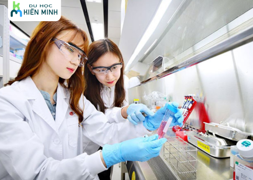 Cơ hội việc làm sau khi tốt nghiệp ngành y dược tại Nhật như thế nào? 