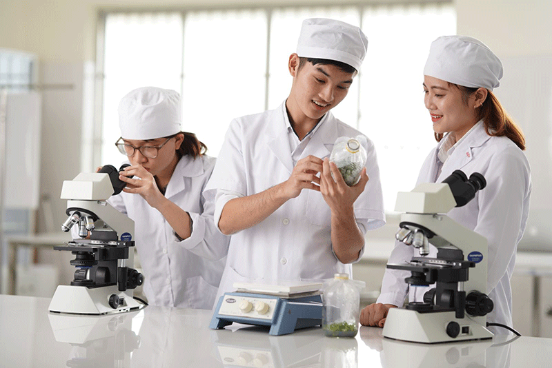 Du học Nhật Bản ngành công nghệ sinh học lộ trình và cơ hội việc làm