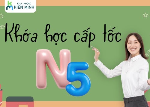 Khóa học N5 cấp tốc – Lộ trình chi tiết giúp bạn học hiệu quả 