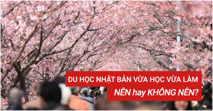 Du học Nhật Bản vừa học vừa làm có thật sự tốt? Góc nhìn từ du học sinh