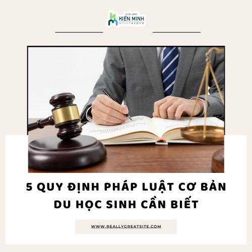 5 Quy Định Pháp Luật Cơ Bản Du Học Sinh Cần Biết Để Tránh Rắc Rối Tại Nhật Bản