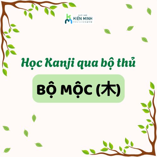 HỌC KANJI QUA BỘ THỦ: BỘ MỘC (木)